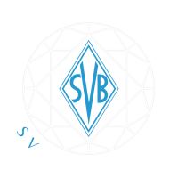 taekwondo diamant logo transparent hell